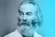 whitman