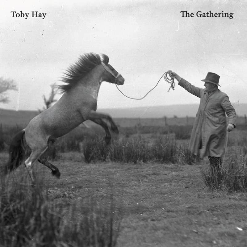 Toby Hay The Gathering