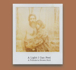 A Light I can Feel