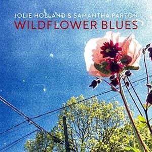 wildflower blues