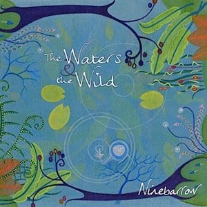 Ninebarrow The Waters and the Wild