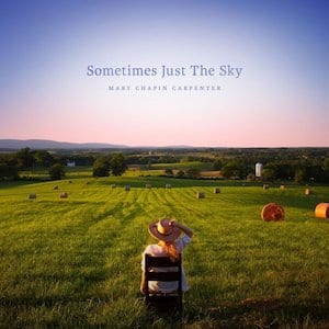 Sometime Just The Sky