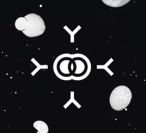 Symbiosis II