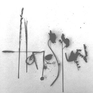 Alula Down Homespun