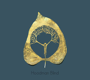 Hoodman Blind