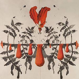 Cricket Blue – Serotinalia