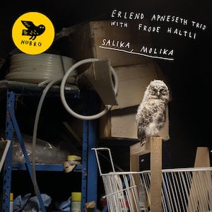 salika molika