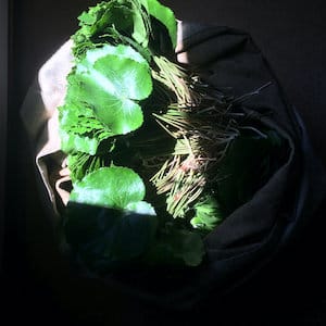 Sarah Louise - Earth and its Contents
