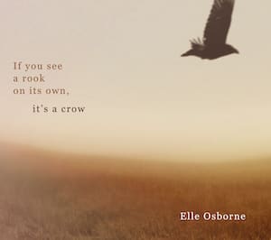 If You See a Rook on Its Own, It’s a Crow