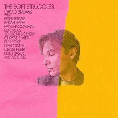 David Brewis – The Soft Struggles