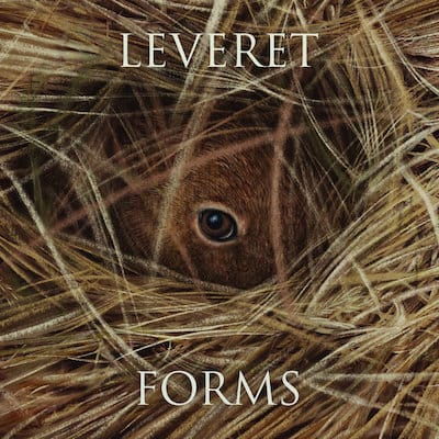 Leveret - Forms