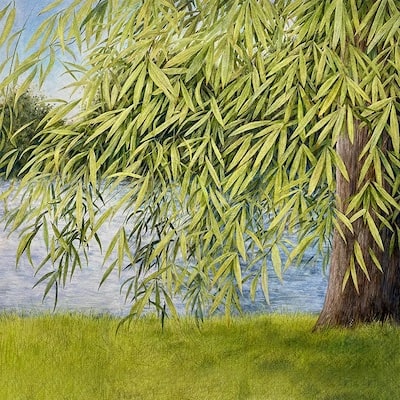 Nothing But Green Willow: The Songs Of Mary Sands And Jane Gentry