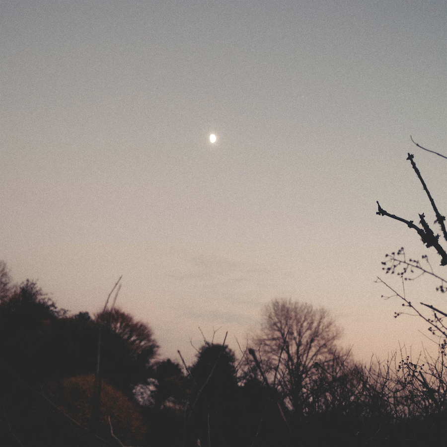Rachel Sermanni – Dreamer Awake