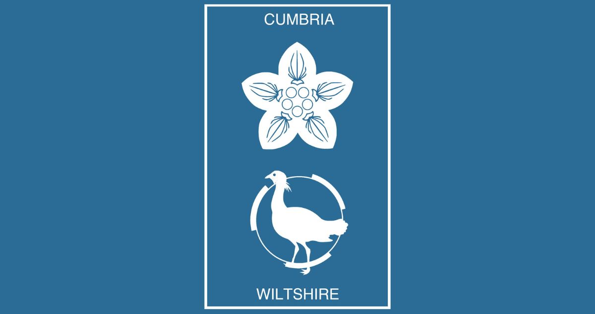 Mary Stark & Monkshood: Ceremonial County Tapes Vol.XXIV – Cumbria | Wiltshire